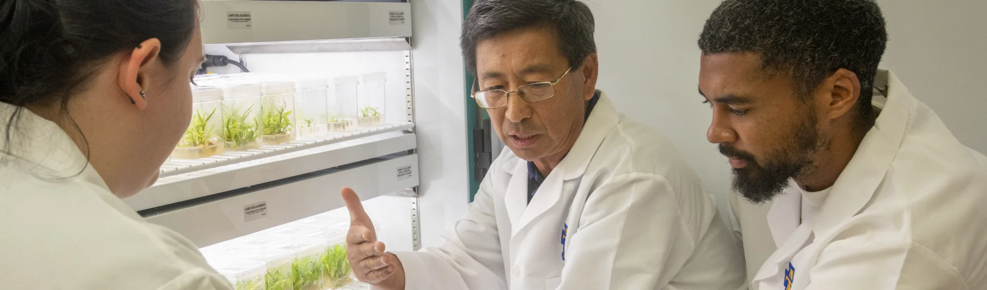 Three researchers in lab coats observe and discuss plant samples growing in clear containers on shelves inside a laboratory.